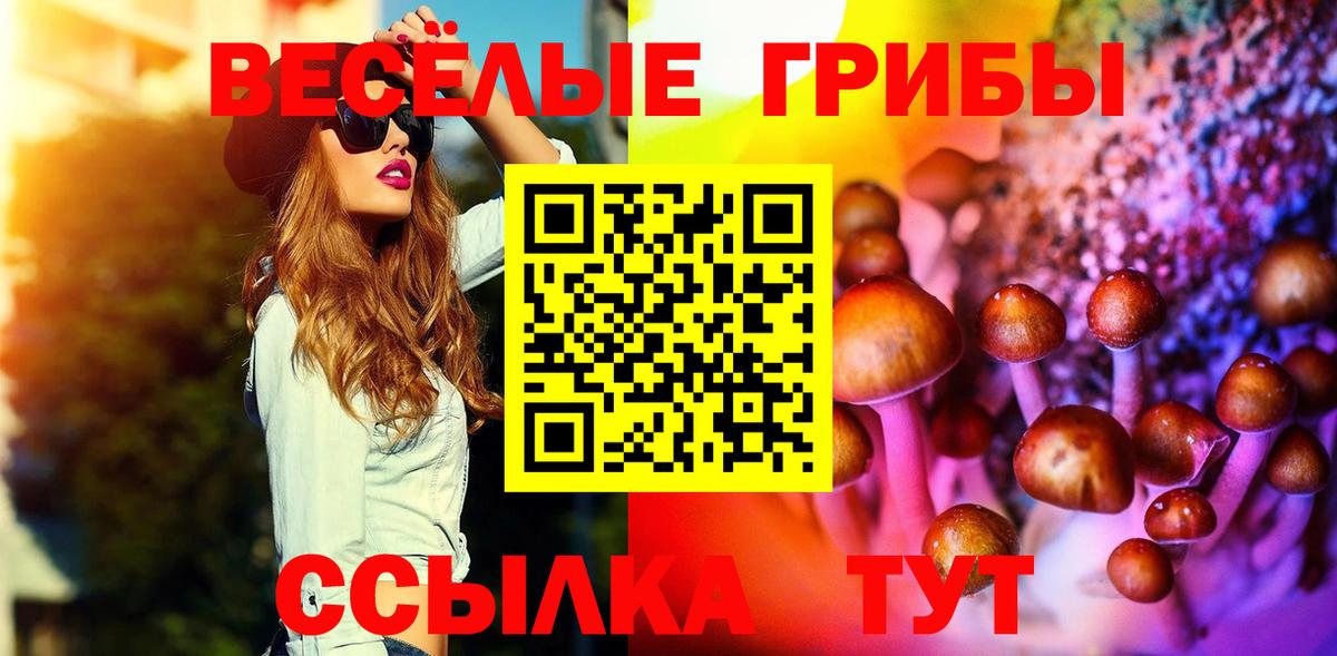 Нягань  Псилоцибиновые грибы Psilocybe  Псилоцибиновые грибы прущие грибы  Вход с VPN 